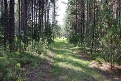 Your Oasis in the backcounty. Located along the Secesh River in - photo 6