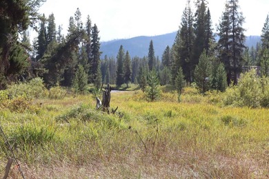 Your Oasis in the backcounty. Located along the Secesh River in - photo 7