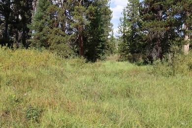Your Oasis in the backcounty. Located along the Secesh River in - photo 8