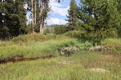 Your Oasis in the backcounty. Located along the Secesh River in - photo 9