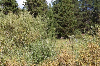 Your Oasis in the backcounty. Located along the Secesh River in - photo 10