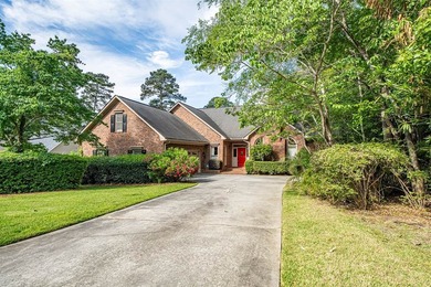 **PRICED TO SELL!!** Located in Chapin's sought after lakefront - photo 2