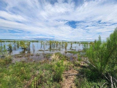 Lake O.H. Ivie Acreage For Sale in Paint Rock Texas