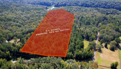 Lake Acreage For Sale in Abbeville, South Carolina