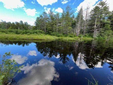 (private lake, pond, creek) Acreage For Sale in Stratford New York