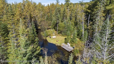 (private lake, pond, creek) Acreage Active Under Contract in Gaylord Michigan