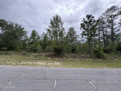 Blue Homestead Lake  Lot For Sale in Chipley Florida