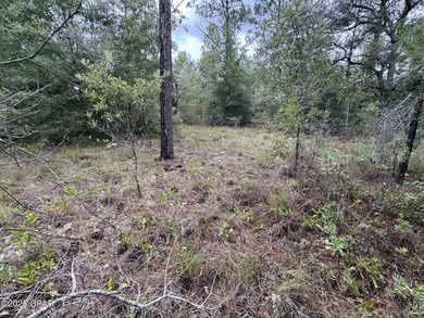 Additional listing photo 4