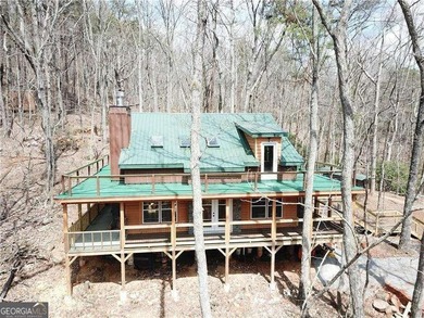 (private lake, pond, coastal) Home For Sale in Jasper Georgia