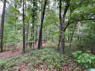 The best of the best, one of the largest remaining lots in the - photo 3