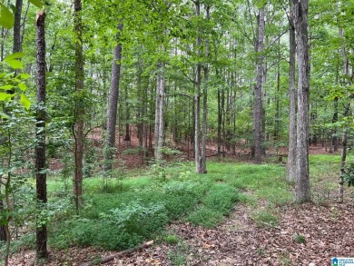 The best of the best, one of the largest remaining lots in the - photo 4