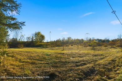 (private lake, pond, creek) Acreage Sale Pending in Dimondale Michigan