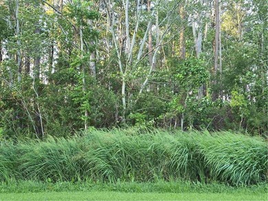 Pasquotank River Lot For Sale in Elizabeth City North Carolina