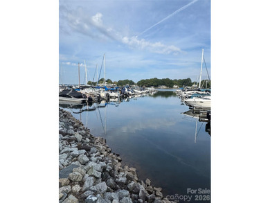 Experience lakefront living at its finest in this beautifully - photo 39