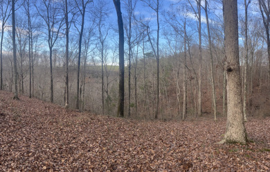 Adorable Cabin Lot Overlooking the Lake Cumberland Hills - photo 2