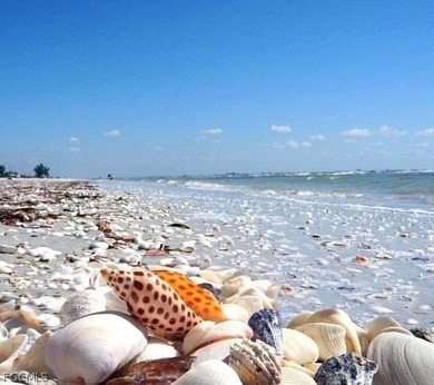 Build your Florida sanctuary on this oversized HIGH AND DRY - photo 12
