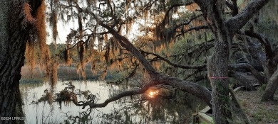 Beaufort River Lot Sale Pending in Beaufort South Carolina