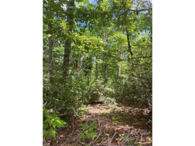 Looking for serenity in Lake Lure? Beautiful 1.44 acre lot - Lake Lot For Sale in Lake Lure, North Carolina