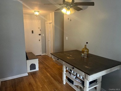 Beautiful All New, 1 bedroom co-op apartment! This is a must see - photo 9