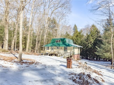 Lake Home For Sale in Dubois Area School District, Pennsylvania