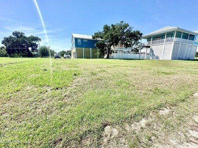 Come build your dream home on this spacious cleared lot in Beach - photo 1