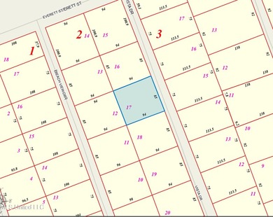 Come build your dream home on this spacious cleared lot in Beach - photo 2