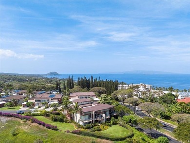 Welcome to Makalii one of Wailea's newest luxury residences - photo 14