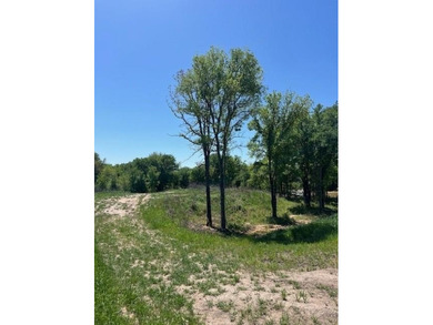 Lake Lot For Sale in Brock, Texas
