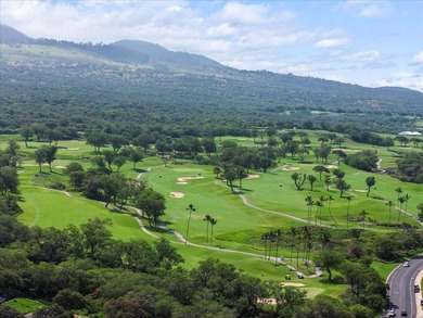 Welcome to Makalii one of Wailea's newest luxury residences - photo 41