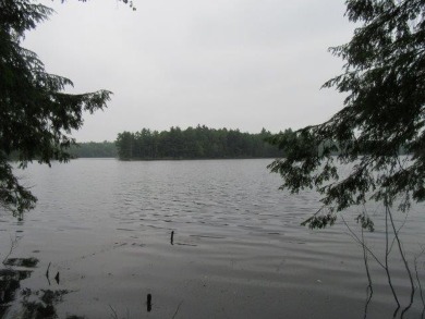 Fence Lake Lot For Sale in Lac du Flambeau Wisconsin