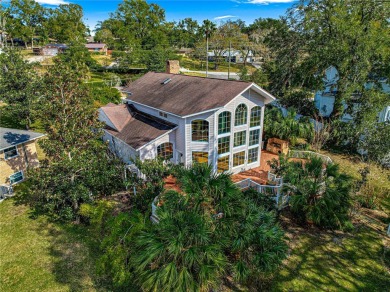 Lake Home For Sale in Eustis, Florida