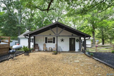 Lake Home For Sale in Leesburg, Alabama