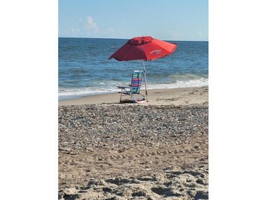 Attractive Edisto Beach Home with beautiful views of the - photo 41