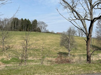 Lake Acreage For Sale in Wytheville, Virginia