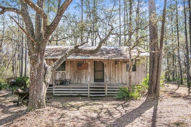 (private lake, pond, creek) Home For Sale in Lamont Florida