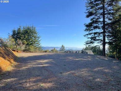 PRICE REDUCED! OCEAN VIEWS ABOUND in this light, bright and airy - photo 43
