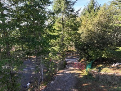 PRICE REDUCED! OCEAN VIEWS ABOUND in this light, bright and airy - photo 45