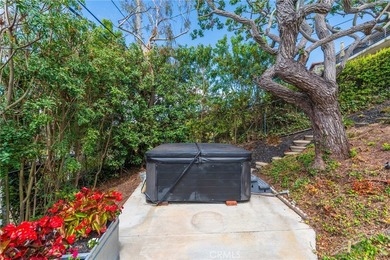 941 Calle Miramar - photo 52