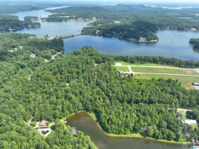 Lake Acreage Sale Pending in Alpine, Alabama