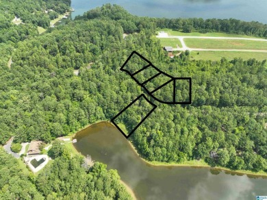 3 acres with access to a small lake near Lake Logan Martin. This - photo 2