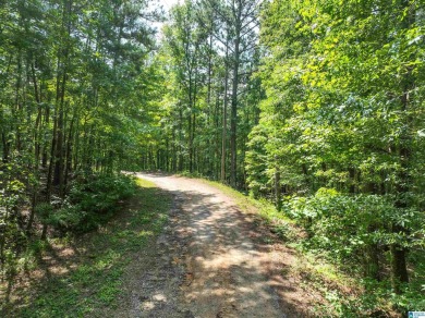 3 acres with access to a small lake near Lake Logan Martin. This - photo 3