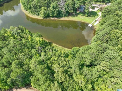 3 acres with access to a small lake near Lake Logan Martin. This - photo 4