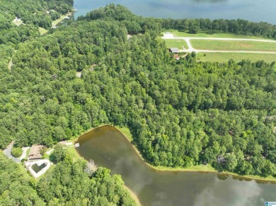 3 acres with access to a small lake near Lake Logan Martin. This - photo 5
