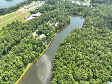 3 acres with access to a small lake near Lake Logan Martin. This - photo 6