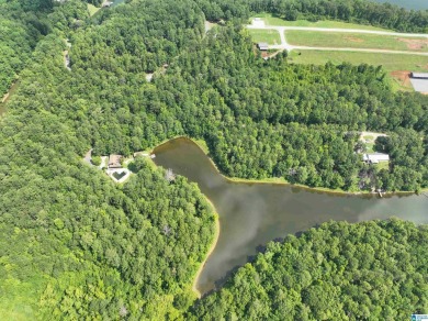 3 acres with access to a small lake near Lake Logan Martin. This - photo 7