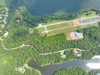 3 acres with access to a small lake near Lake Logan Martin. This - photo 8