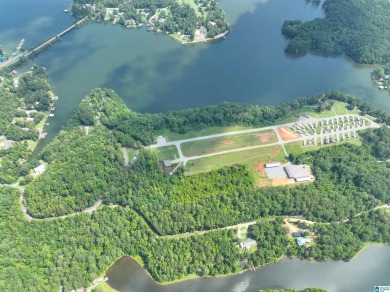 3 acres with access to a small lake near Lake Logan Martin. This - photo 9