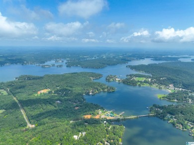 3 acres with access to a small lake near Lake Logan Martin. This - photo 10