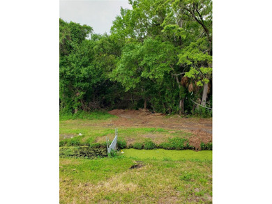 The best priced buildable homesites in Tarpon Springs near - photo 8