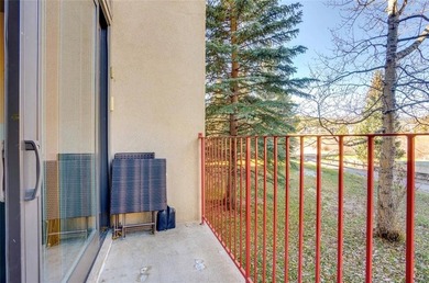 Location! Location! Location! This 1,100 sq ft, fully remodeled - photo 12